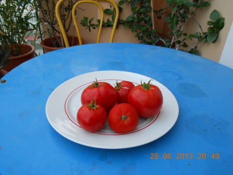 What can you have in your balcony - Tomatoes Photo Credit: Camille Delcour